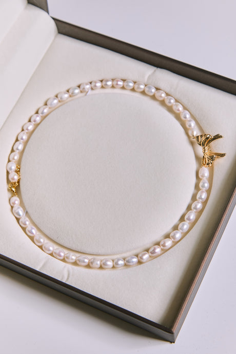 Freshwater Pearl Necklace with Clasp Gift