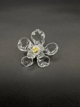 Anillo Caléndula Transparente - Basoie Concept