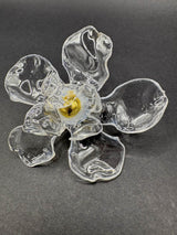Anillo Caléndula Transparente - Basoie Concept